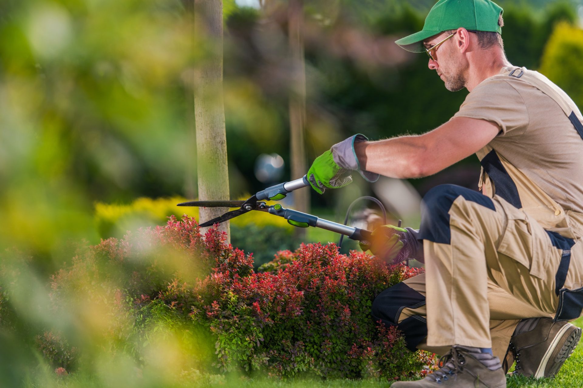 garden-decorative-trees-trimming-by-professional-gardener-e1635864777836.jpg