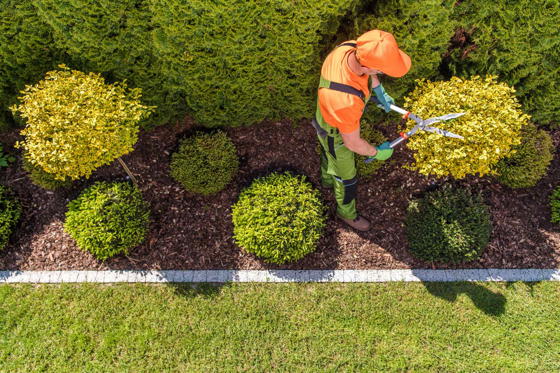 professional-gardener-at-work-XU82AHW.jpg